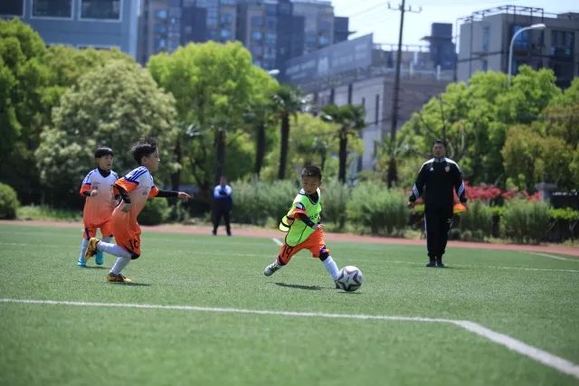 塔图姆34+8+7绿军大胜灰熊 步行者送黄蜂7连败